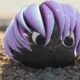 Roaring_Karen