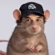 fafw3fw