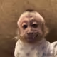 Web3Monk3