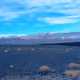 079079