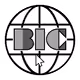 BIC_DAO
