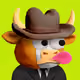 MadCoolCrypto