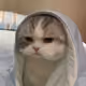 Catty00
