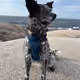 WalkingCasper