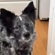 WalkingCasper