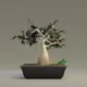 GardenBonsai