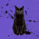 inkcat_
