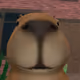 unclecam