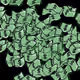 dollazblock