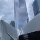 silvergoul
