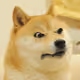 stellarhavoc