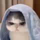 mikazu