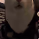 dontpickm