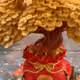khanhbin