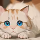 gigihu