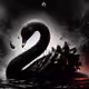 blackswan1376