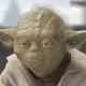 Yoda