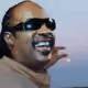 optimusbiscuits