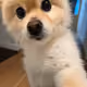 ryoooji