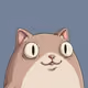 bogex
