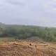 mrkim31