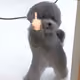 sagetolly