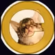 REALAP3_