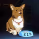 ein