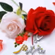 fariba