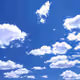 sunshine7
