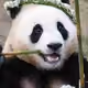 tamhee