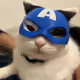 steveroger