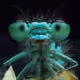 basesecretbug.base.eth