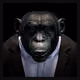 gg70498pro-4-7.eth