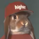 div