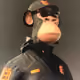 xusnvvb