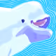 beluga
