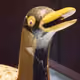 starbirdde
