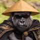 TheDumbMonkey