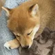 mizu