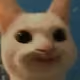 benddi8