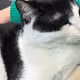 kimgxxg