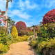 komasugi