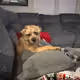 christhejet