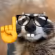 coonsby