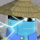 sakib8051