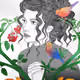 graphicurve