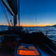cheetahchloe