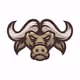 Buffalo