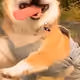 ksuhdv
